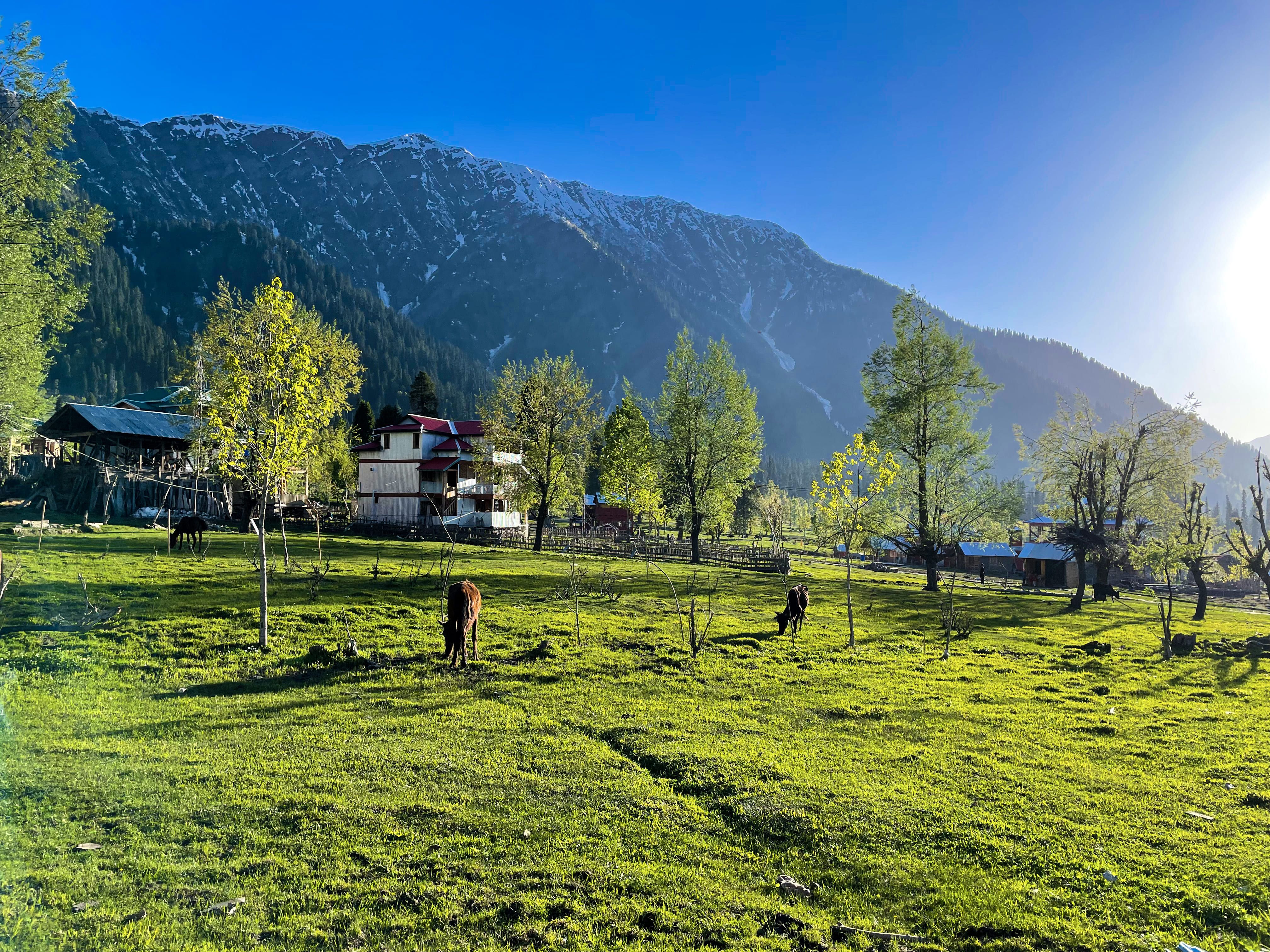 beautiful-landscape-arang-kel-kashmir-with-green-fields-local-houses-with-hidden-clouds.jpg