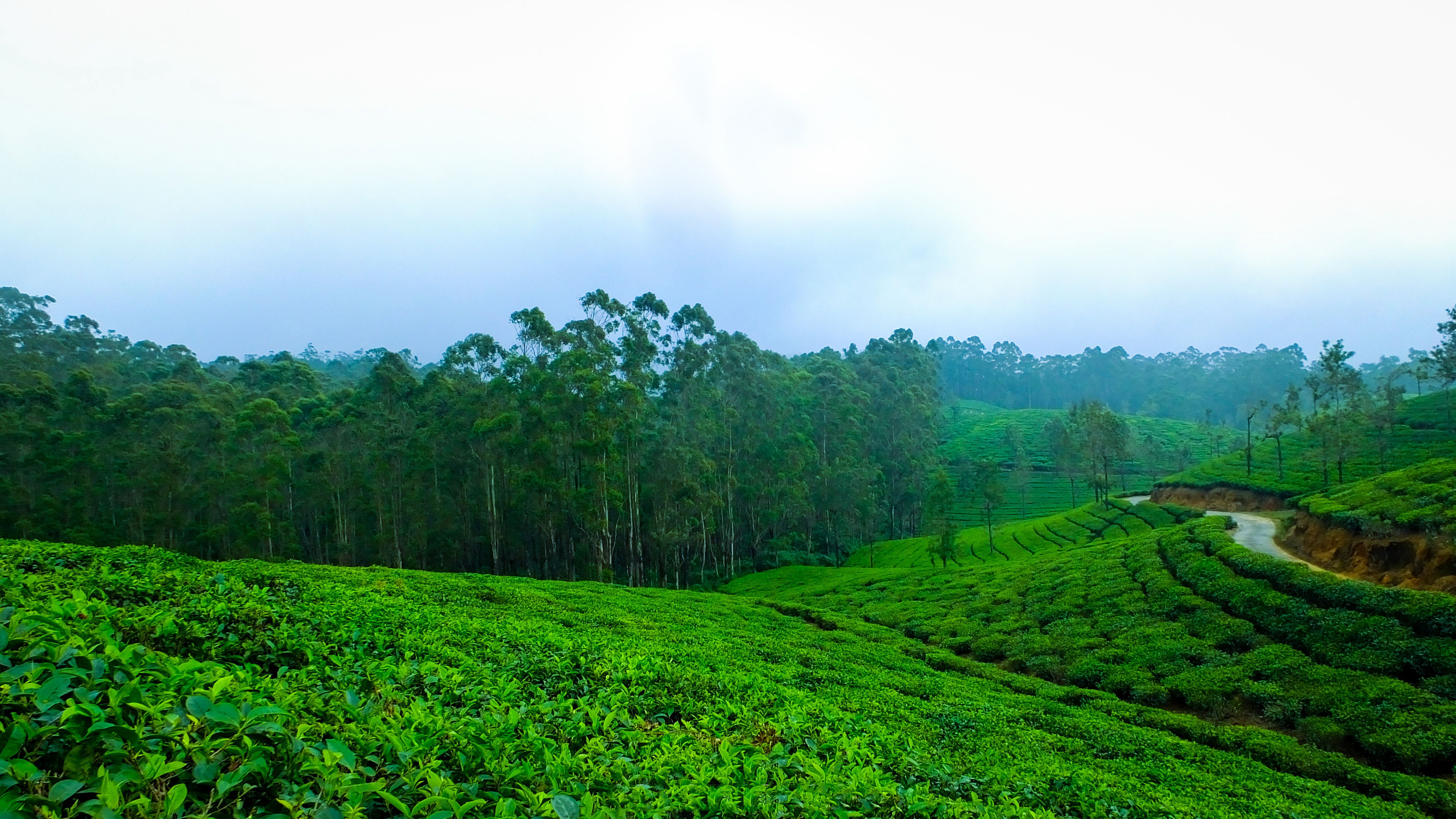 VAGAMON 2