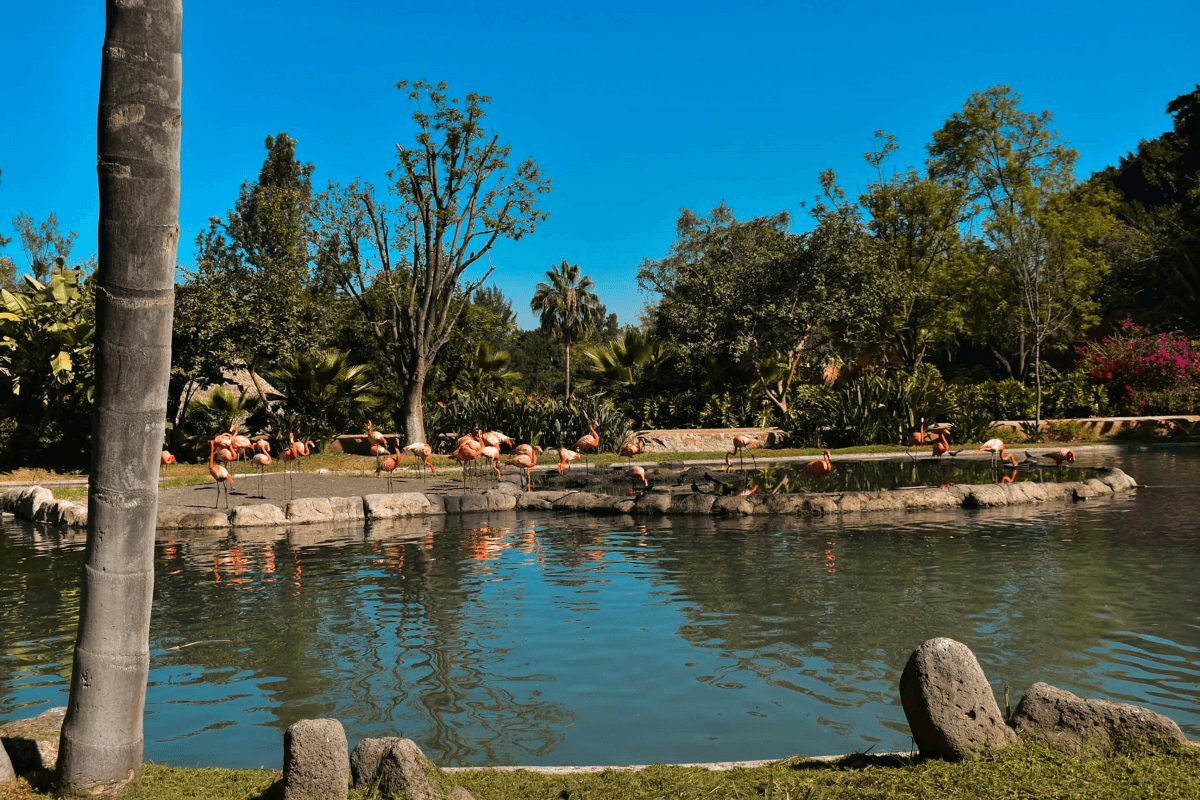 gabriella-villarreal-CpSH-erYwak-unsplash (1).png