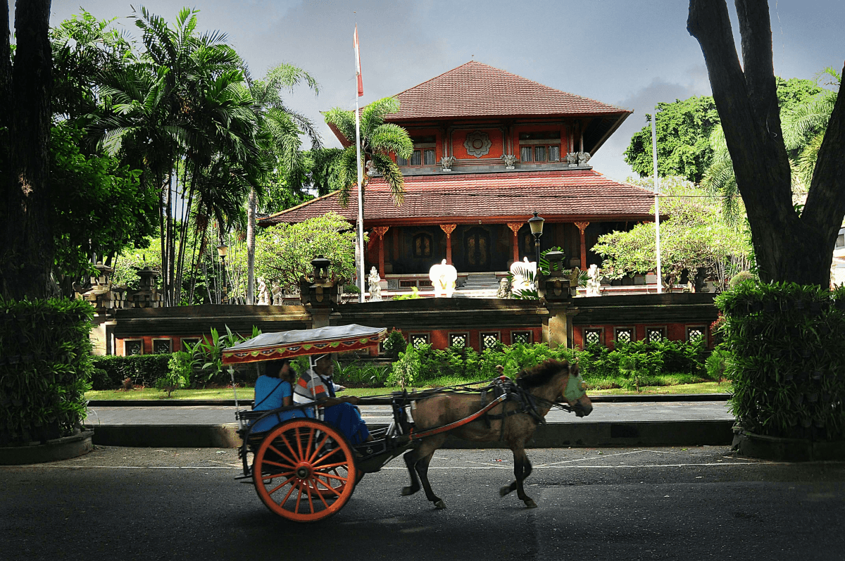 i-nyoman-yuda-wirawan-2qvEOJRsc-w-unsplash (1).png