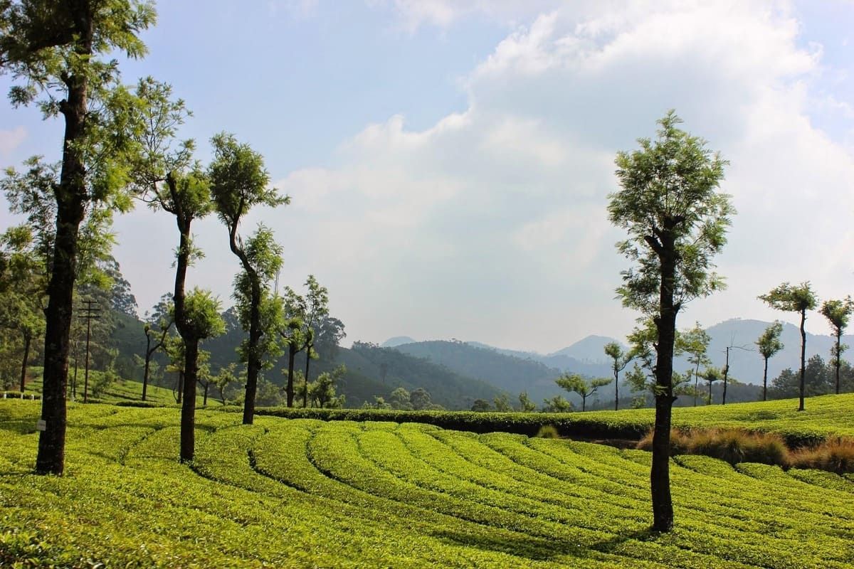 landscape-3080146_1920.jpg