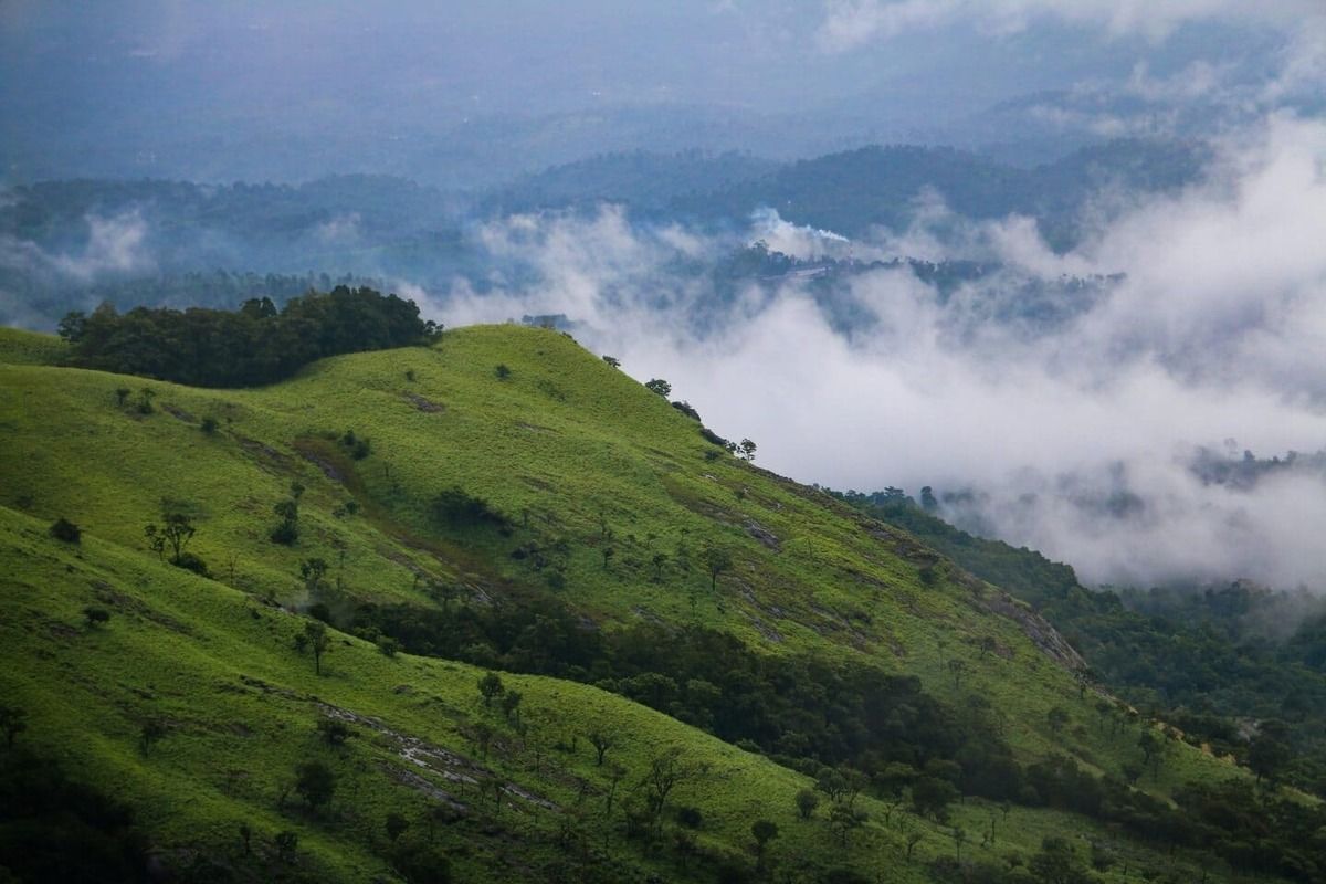 one-day-wayanad-top-places-to-visit-header-wayanad-tourism.jpg.jpg