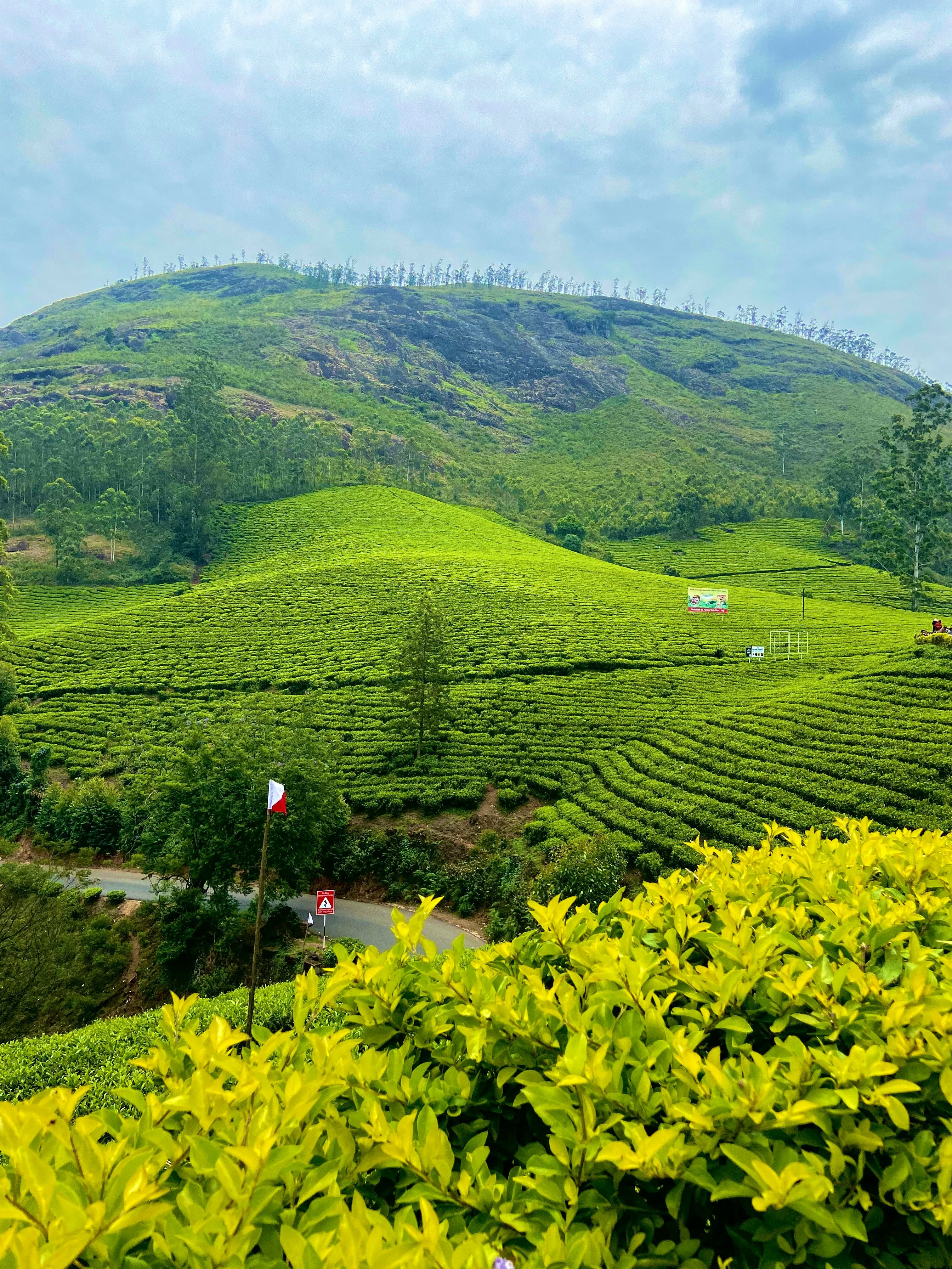 munnar 7