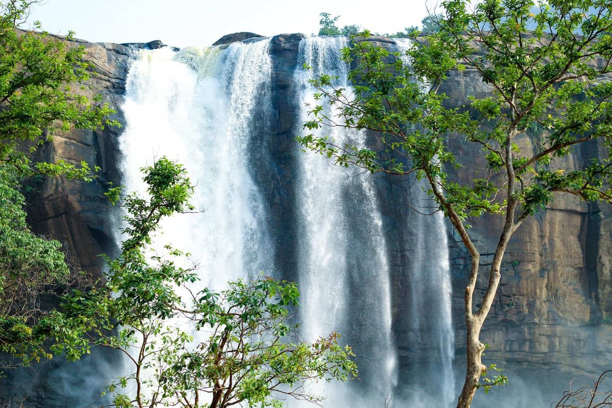 shutterstock_1239967576.jpg