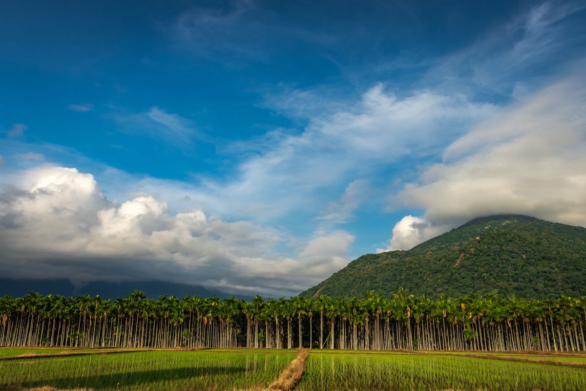 shutterstock_1605106393 (1).jpg