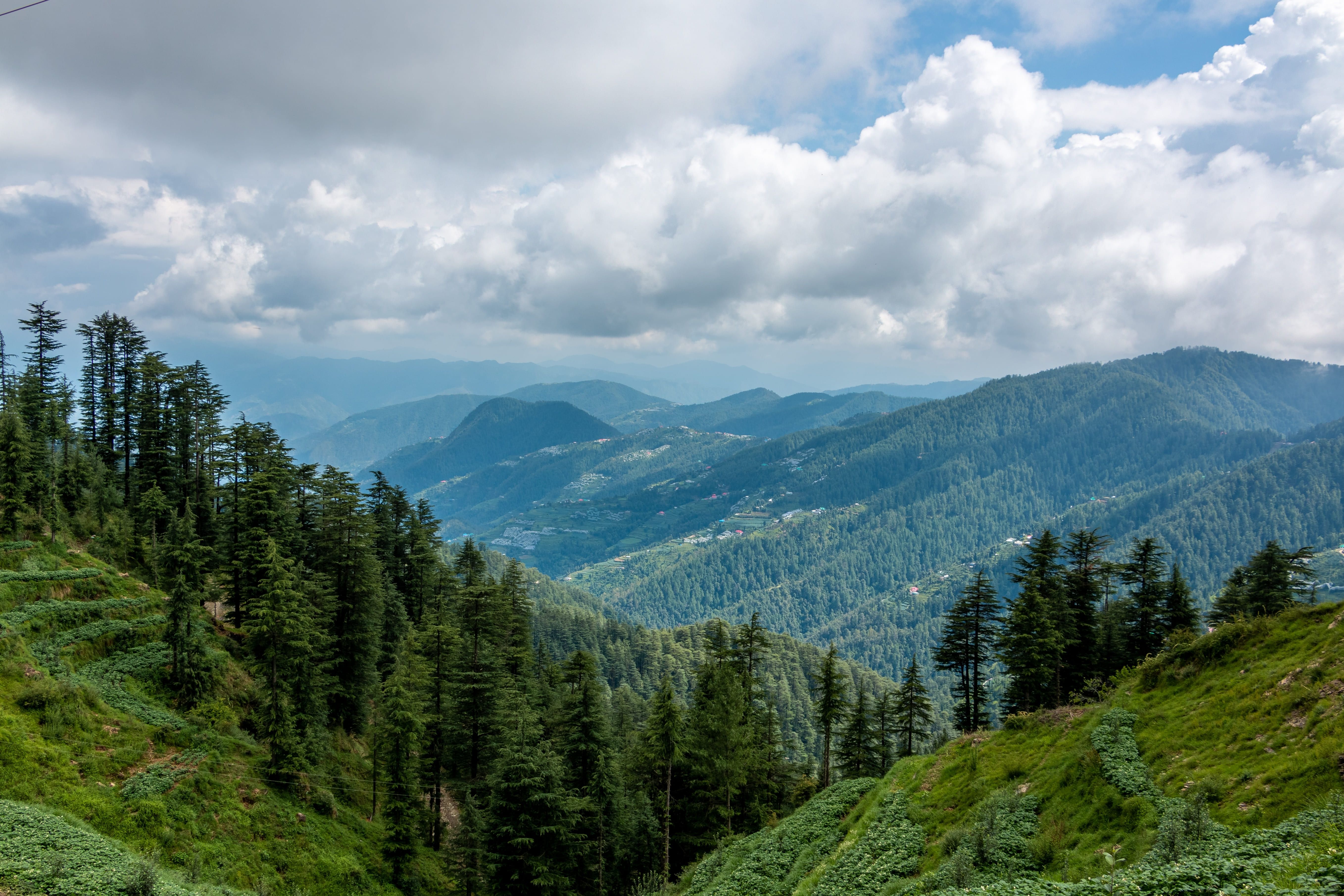 shutterstock_2176255513.jpg