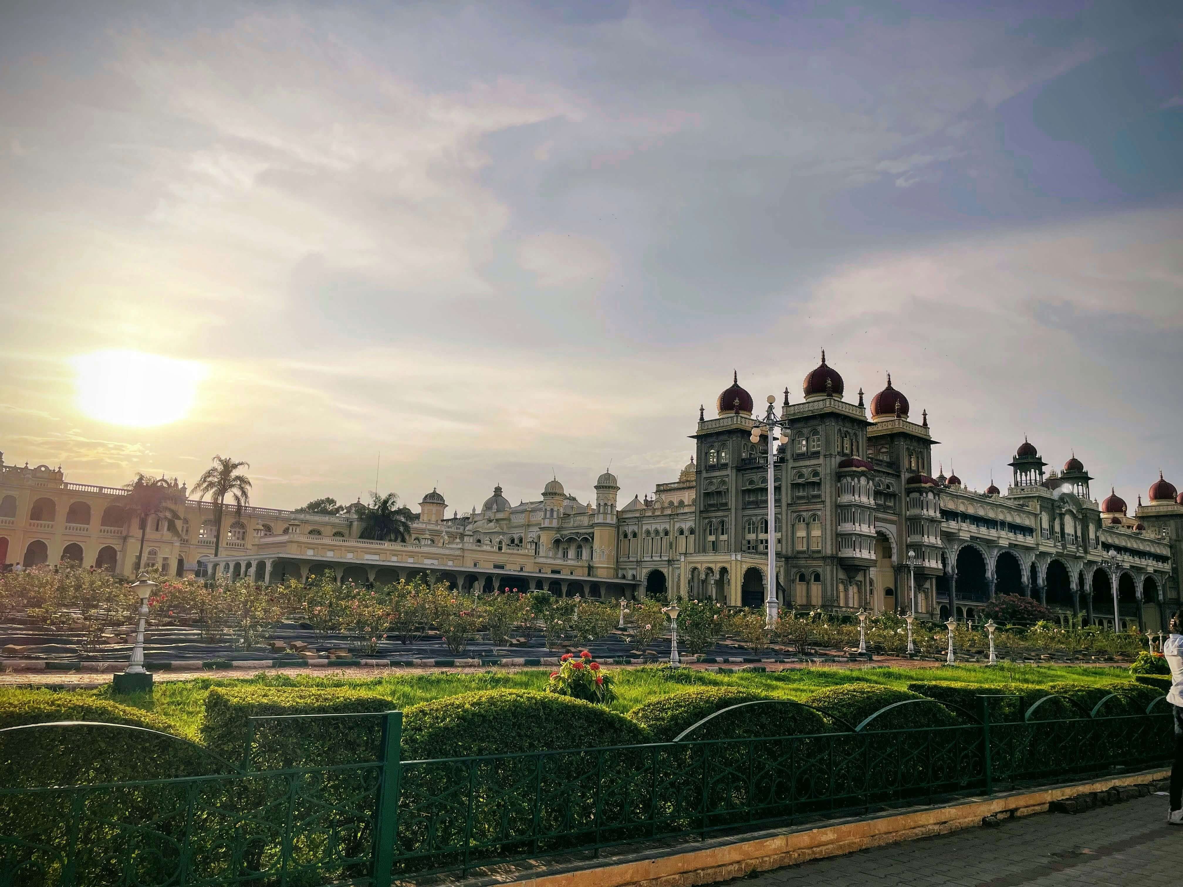 sunitha-mary-9TI06LVjeQo-unsplash (1).jpg
