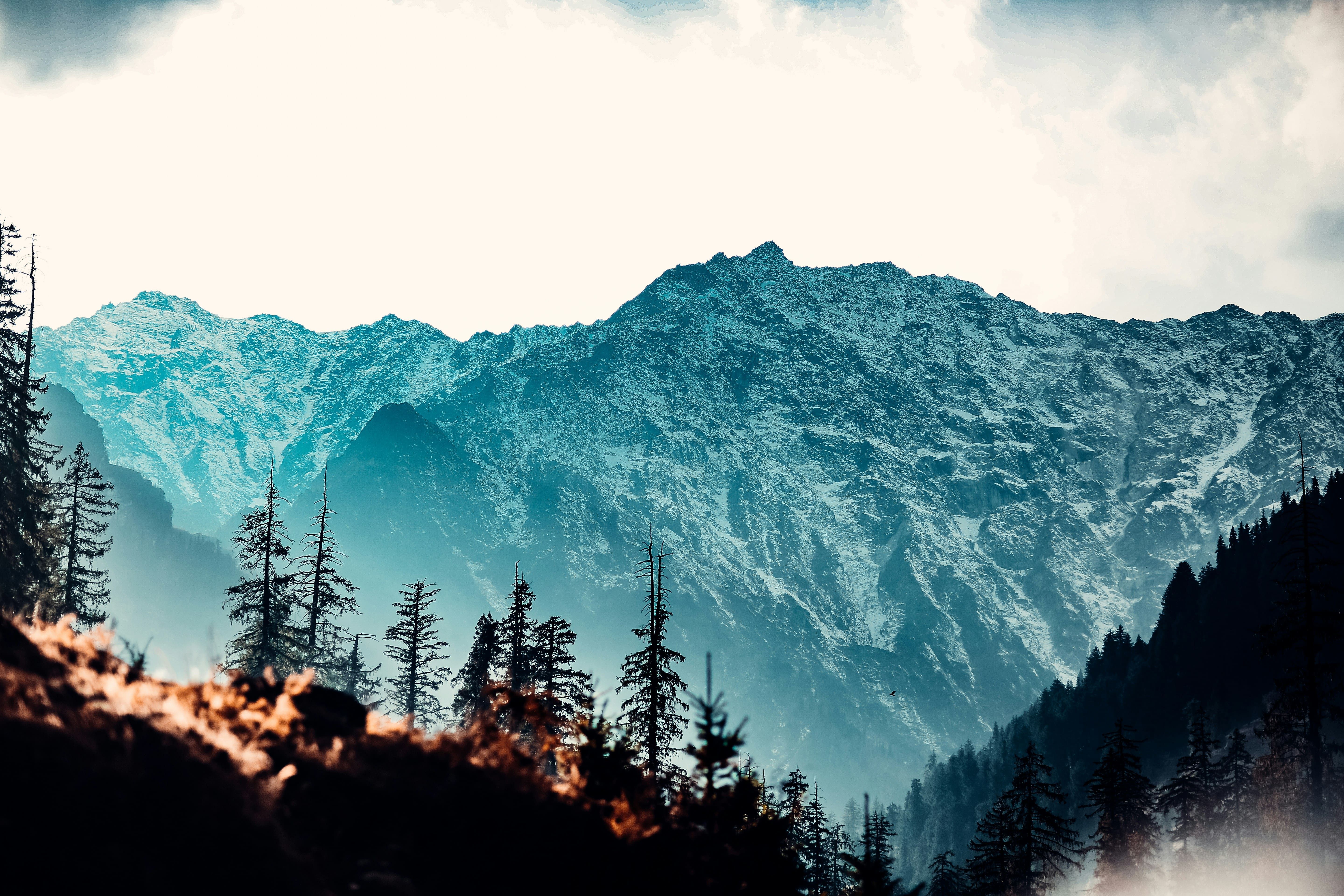 surya-teja-oIXJ839p55k-unsplash.jpg