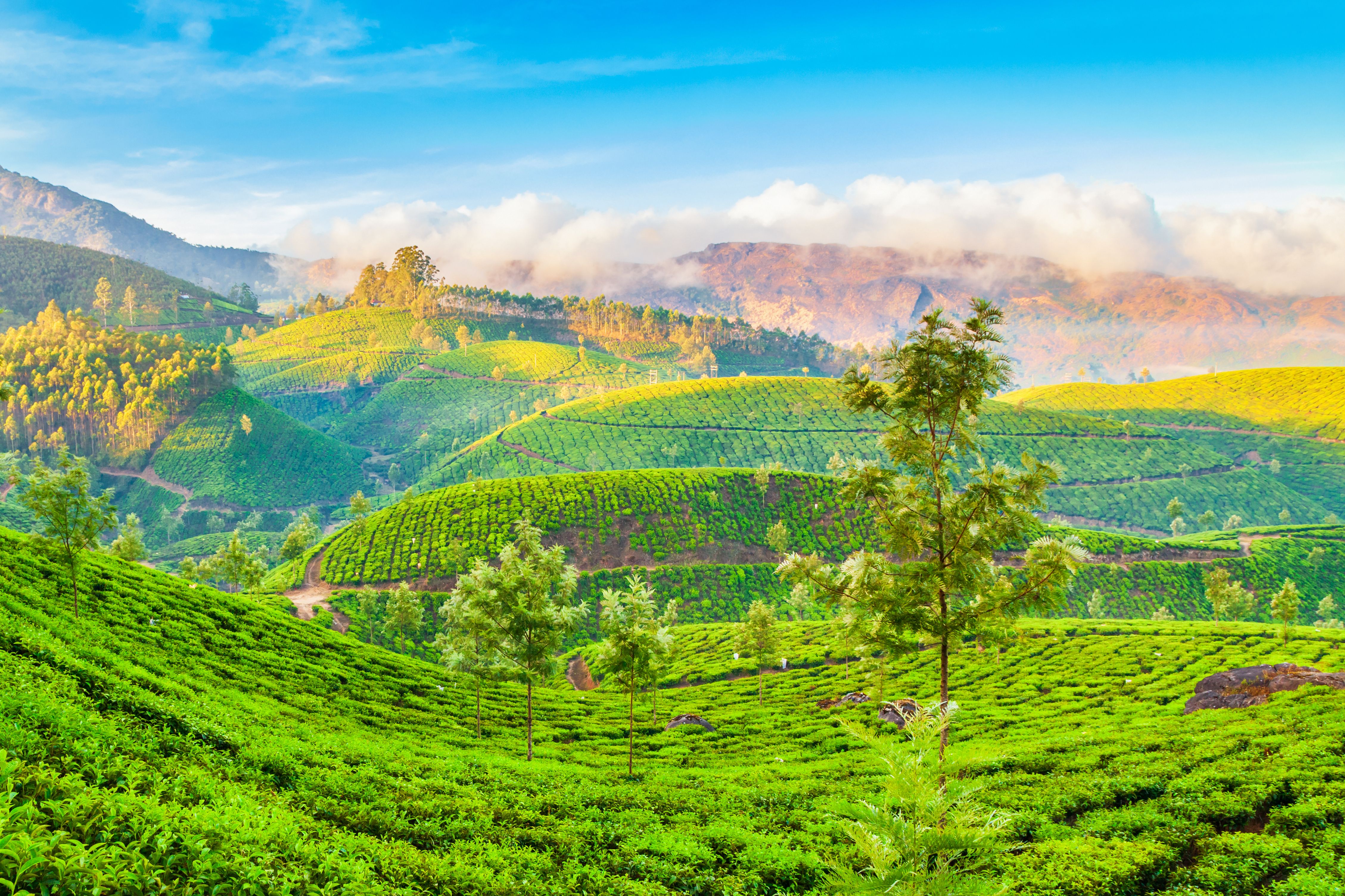 munnar