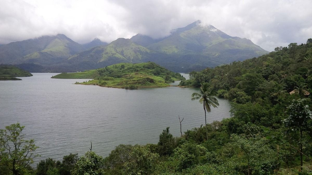 wayanad-3590626_1920.jpg