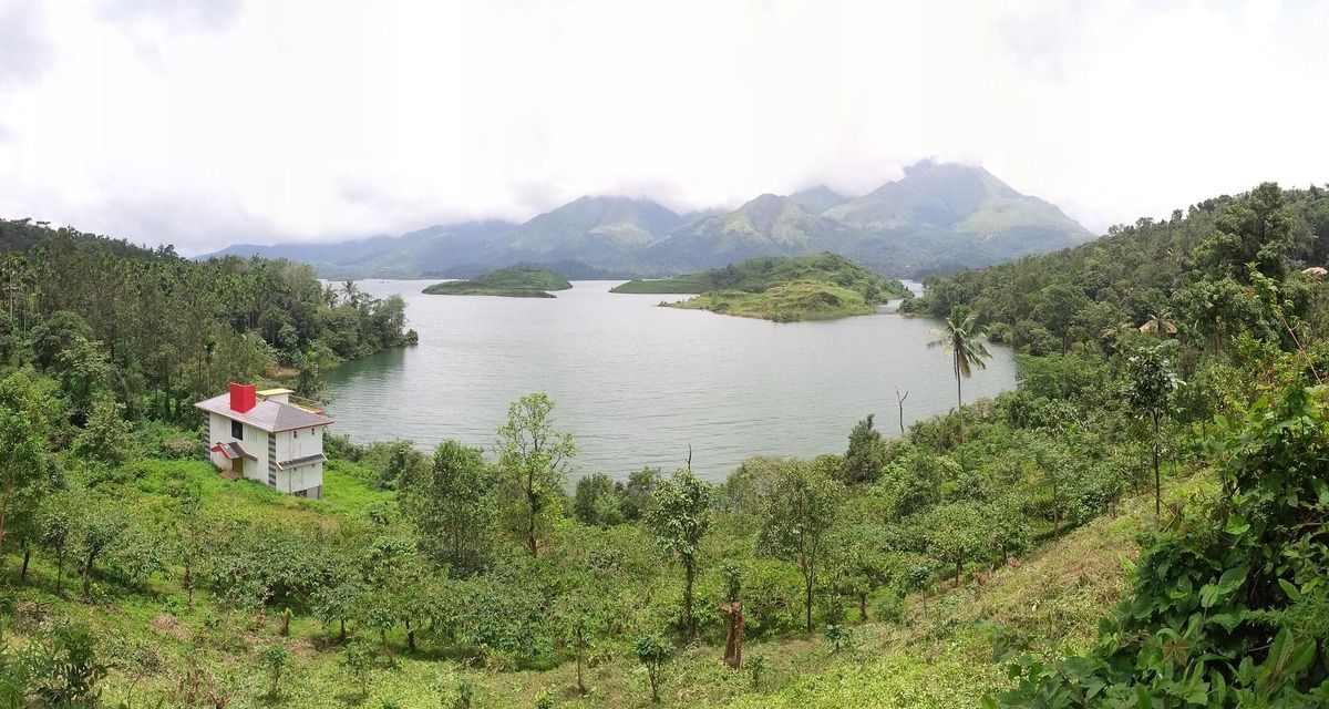 wayanad-3590637_1920.jpg