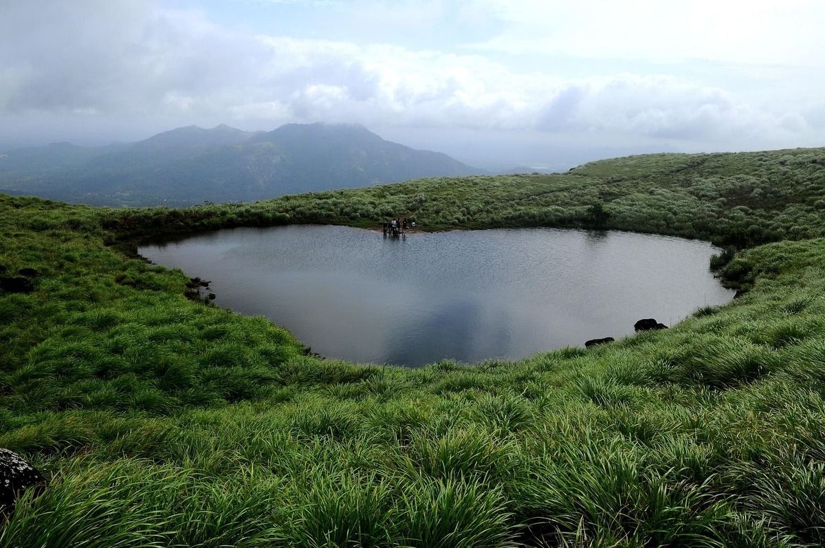wayanad-4769648_1920.jpg